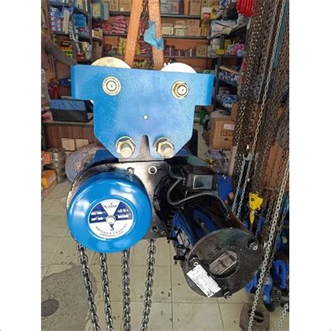 2 Ton Electric Chain Hoist With Electric Trolley at 40000.00 INR in Ahmedabad | Krishna Traders