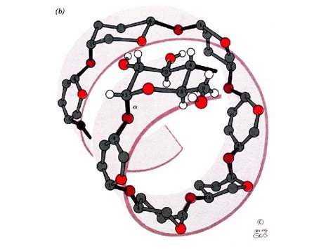 Chapitre 11 Sucres Et Polysaccharides 1 Les Monosaccharides