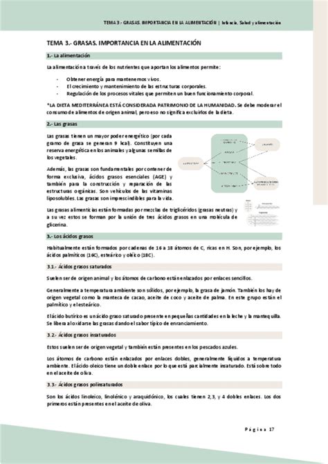 Preguntas Salud T Hidratos Carbono Pdf