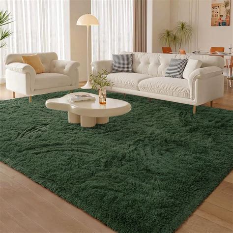 Amazon.com: Jocovieh Soft Deep-Green Rugs for Bedroom, 3x5 Feet Fluffy Carpets, Indoor Modern ...