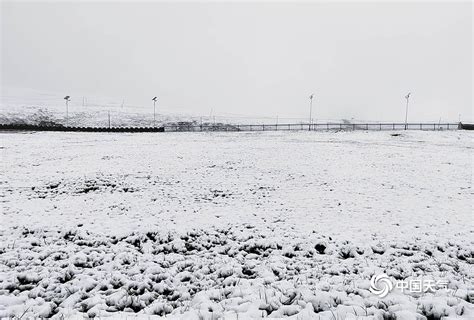 青海天峻县木里镇“三伏天”出现降雪 白雪覆盖草地 腾讯新闻