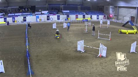 2013 AKC Agility Nationals Tulsa OK 24 In Hybrid Round Roo