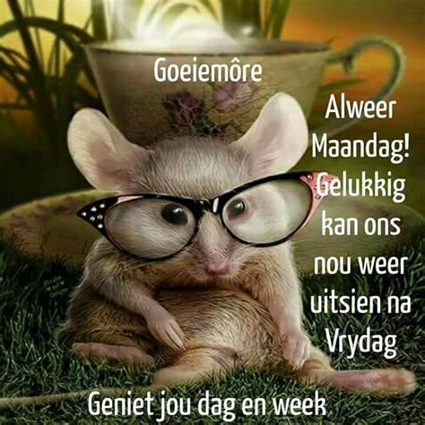 Pin By Esme Duvenhage On Lekker Week Good Morning Good Morning Funny