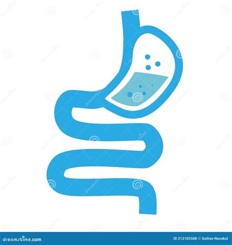 Healthy Digestion Logo Stomach Icon On White Background Human Stomach