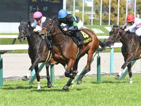 【福島牝馬s想定馬・騎手】グランベルナデット、コスタボニータなど15頭 ライブドアニュース