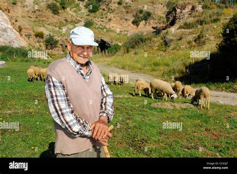 Sheep Herder Bulbul Mountain Ephesus Turkey Kusadasi Stock Photo Alamy