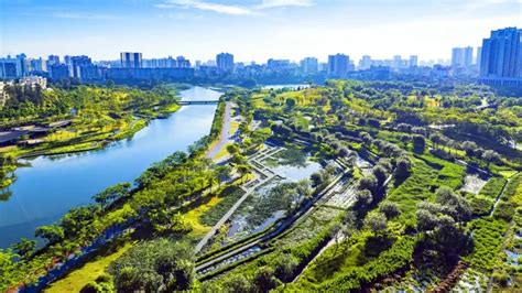 Exploring Sponge Cities Keeping Our Urban Spaces Safe And Sustainable