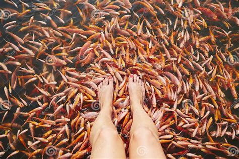 Massage By Fishes Stock Image Image Of Fish Bite People 39052921