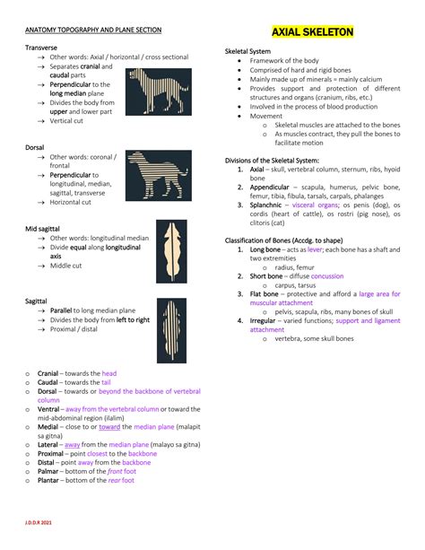 Solution Veterinary Comparative Anatomy Studypool