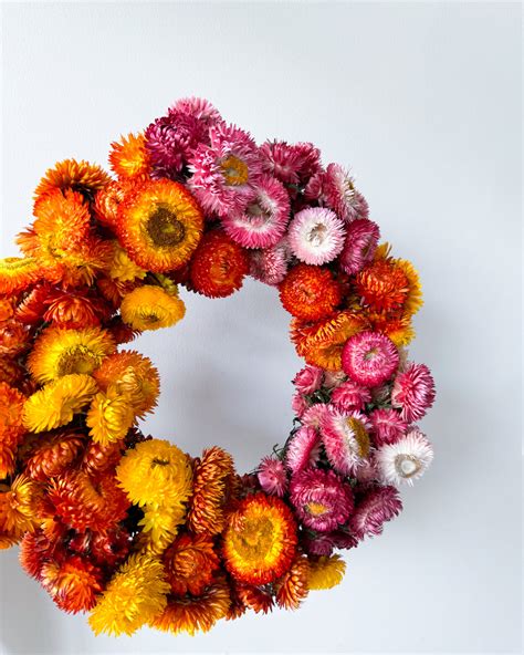 DRIED STRAWFLOWER CHRISTMAS WREATH – The Palmier