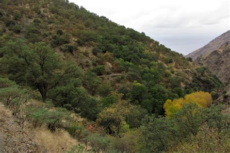 Caminando Por Sierras Y Calles De Andaluc A Vereda De La Estrella Y