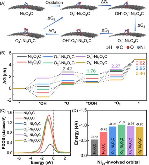 Evaluation Of Catalytic Activity By Density Functional Theory