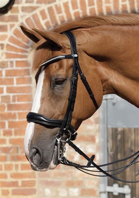 Premier Equine Abriano Anatomic Double Bridle Bridles Orchard