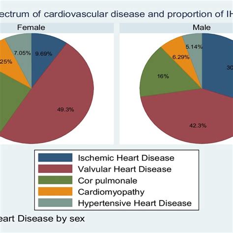 Spectrum Of Cardiovascular Problems Among Cardiac Patients At Debre