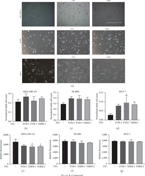 Figure From Human Umbilical Cord Perivascular Cells Prevent Tumor