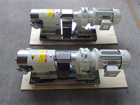 Sanitary Stainless Steel Food Grade Positive Displacement Rotary Lobe Pump