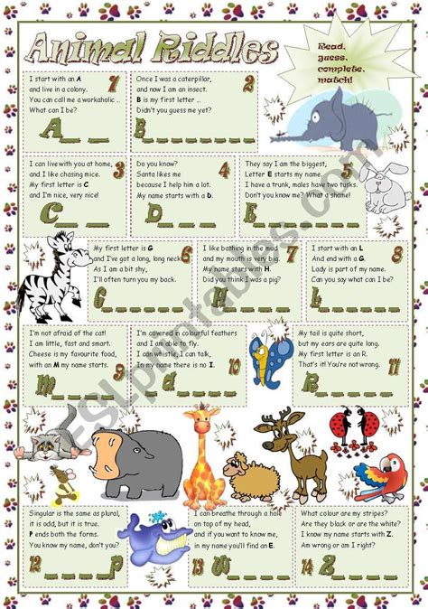 ANIMAL RIDDLES - ESL worksheet by mariaolimpia