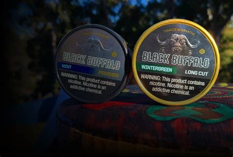 Black Buffalo The Best Chewing Tobacco Alternative To Dip Pouches