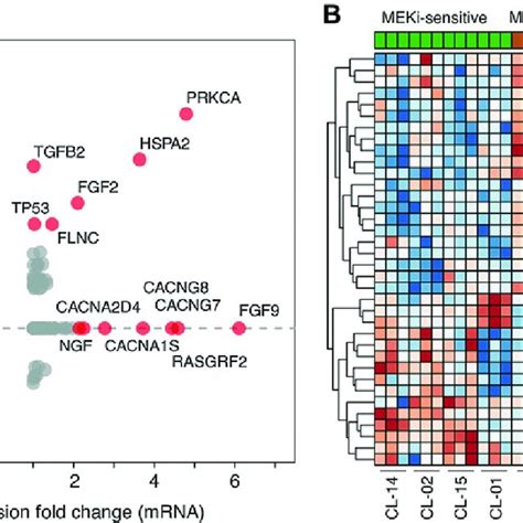 Characterization Of Transcriptome And Proteome Profile Of Meki Response