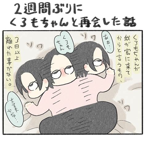 ＜画像2 84＞2週間ぶりに再会する愛猫は飛びついてくる？まさか忘れてる？反応にドキドキするも、思ってたのとなんか違う… 【作者に聞く