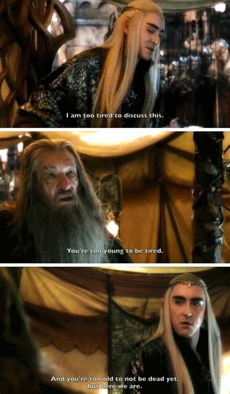 Pin By Allanitas On Lord Of The Rings Hobbit M Mes The Hobbit