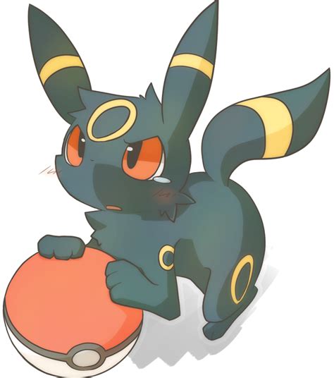 Umbreon Senpai Eevee Pokemon Umbreon Umbreon Pokemon Eeveelutions