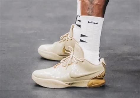 Lebron James Shows Off Nike Lebron 21 Purple Rain
