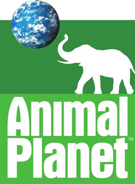 Animal Planet (International) - Logopedia, the logo and branding site