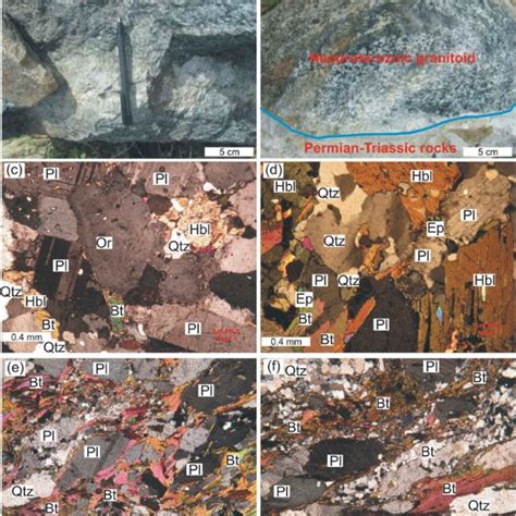 Field And Thin Section Photographs Of The Neoproterozoic Granitoid Ep