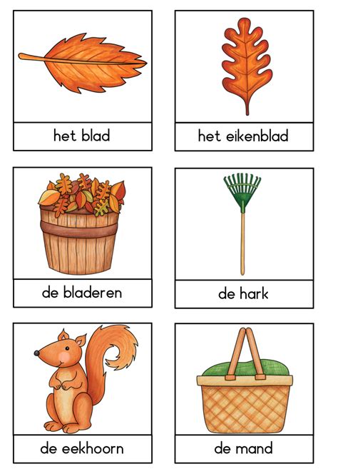 Woordenschat Herfst 2 Herfst Projecten Herfst Herfst Activiteiten