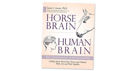 Horse Brain Human Brain The Neuroscience Of Horsemanship