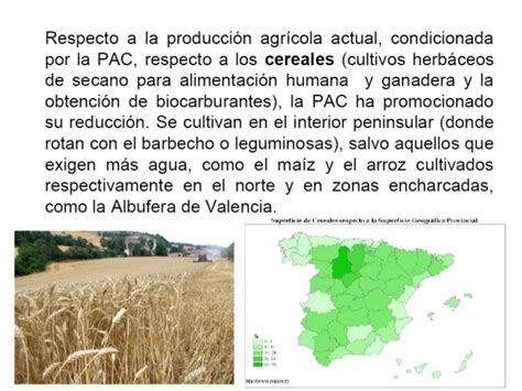 Sociales Y Lengua Usos Agrarios Del Espacio Rural La Actividad Agr Cola