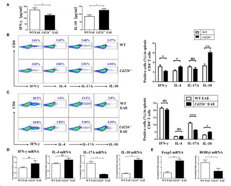 Lower Levels Of Th17 Cells And Higher Levels Of Tregs Were Observed