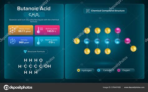 Butanoic Acid Properties Chemical Compound Structure Vector Design