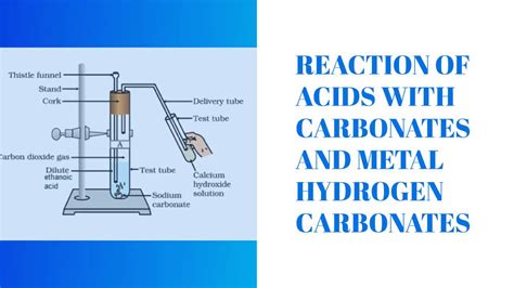 ACIDS BASES AND SALTS REACTION OF ACIDS WITH CARBONATES AND METAL