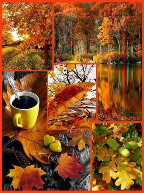 Pin By Larissapossuh On Autumn Painting Autumn Scenes Fall