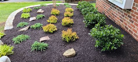 New Plantings Rock Creek Tree Turf Landscaping