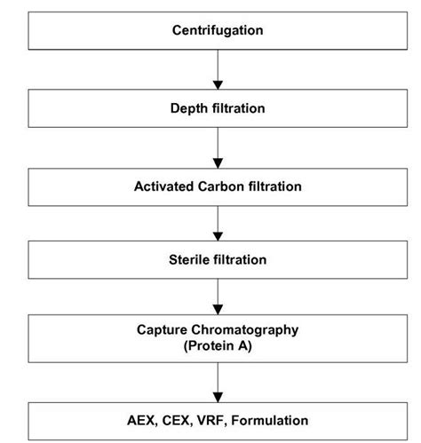 Protein Purification -Example | Download Scientific Diagram