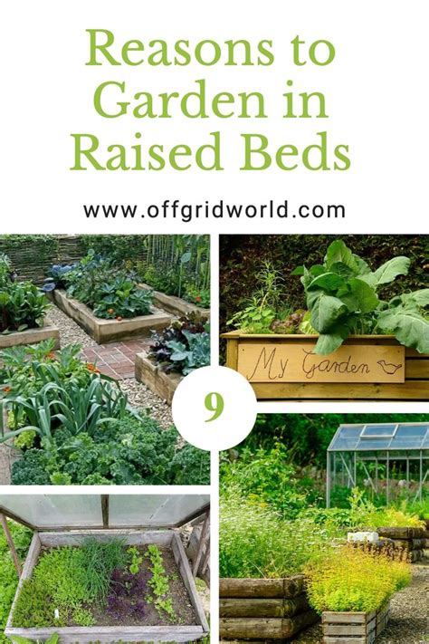 10 Benefits Of Raised Bed Gardening