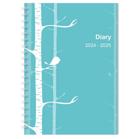 2025 Daily Planner Spiral Bound - Ranee Casandra