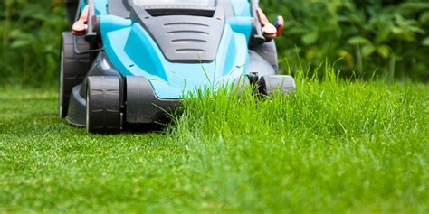 Lawn Mowing | Maitland Lawn Care