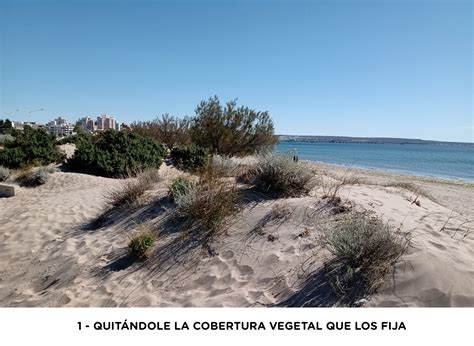 PROGRAMA DE RECUPERACIÓN Y MANEJO DE MÉDANOS COSTEROS Municipalidad