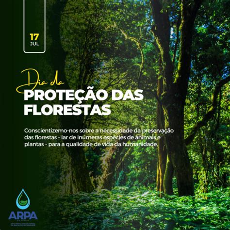 Dia De Prote O Das Florestas Arpa Rio Grande