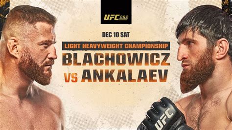 Blachowicz Vs Ankalaev O Titul V Polot K V Ze Proboxing Cz