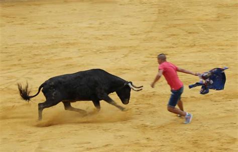 Corella continúa este domingo su ciclo de festejos taurinos con una