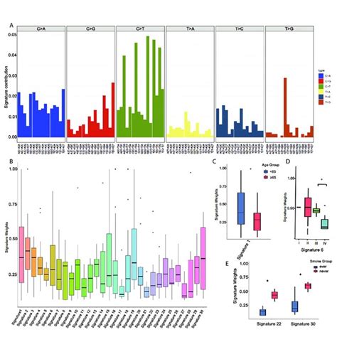 The Genetic Mutation Profiles Of Asc Patients A The Top Somatic