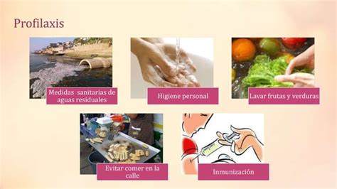 Salmonella Typhi Caso Clínico De Fiebre Tifoidea Ppt