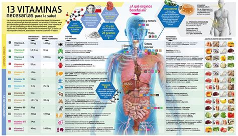 Cu C A Les Son Las Vitaminas Y Para Qu C A Sirven Tutorial Pics