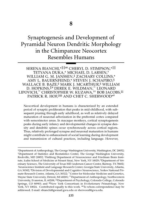 8 Synaptogenesis And Development Of Pyramidal Neuron Dendritic