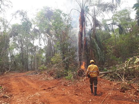 Santa Cruz Registra 3 Incendios Forestales Y 2 Municipios Afectados Gobernación